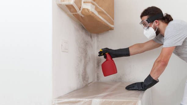 Professional Mold Remediation technician working in Martinsville, IL