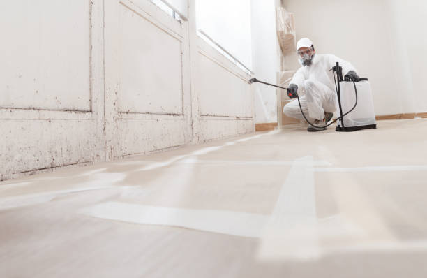 24/7 Emergency Mold Remediation experts in Martinsville, IL