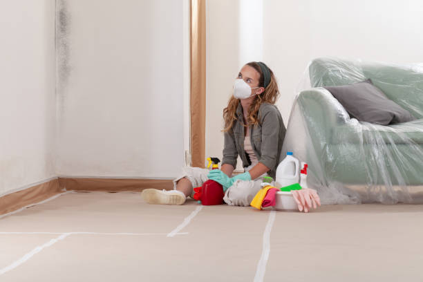 Reliable Mold Remediation contractor in Martinsville, IL by Car Mold Remediation